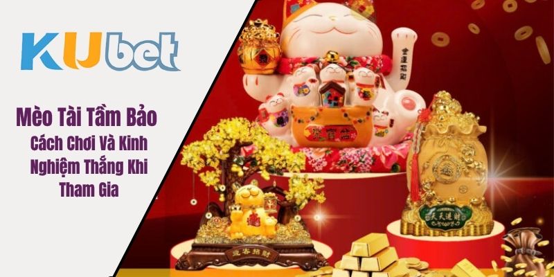 Mèo Tài Tẩm Bảo
